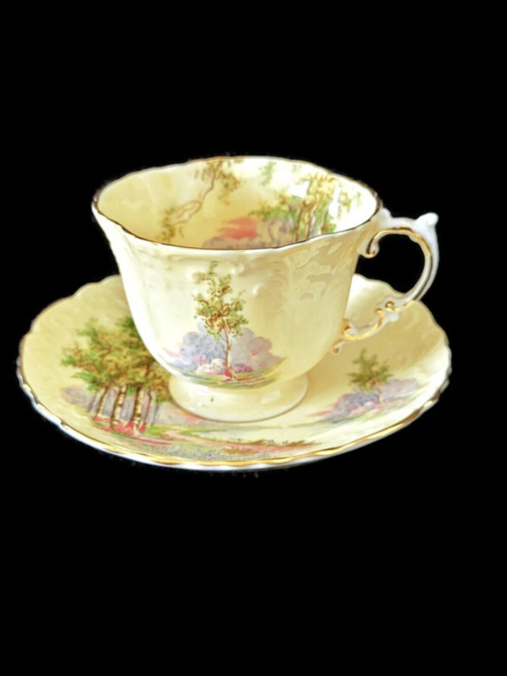 Aynsley 1940"s Woodland Scene or Bluebell Time Pattern